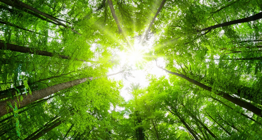 Xerox Tackles Environmental and Societal Challenges in 2021 Corporate Social Responsibility Report